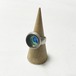 Daedalus 950 Silver Enamel Earth Ring