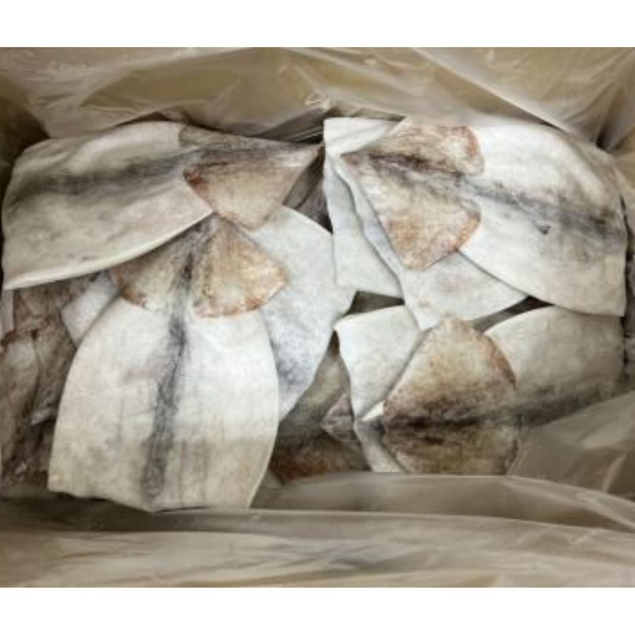 宮城県産 真イカ開き(刺身用) 約30枚/7Kg