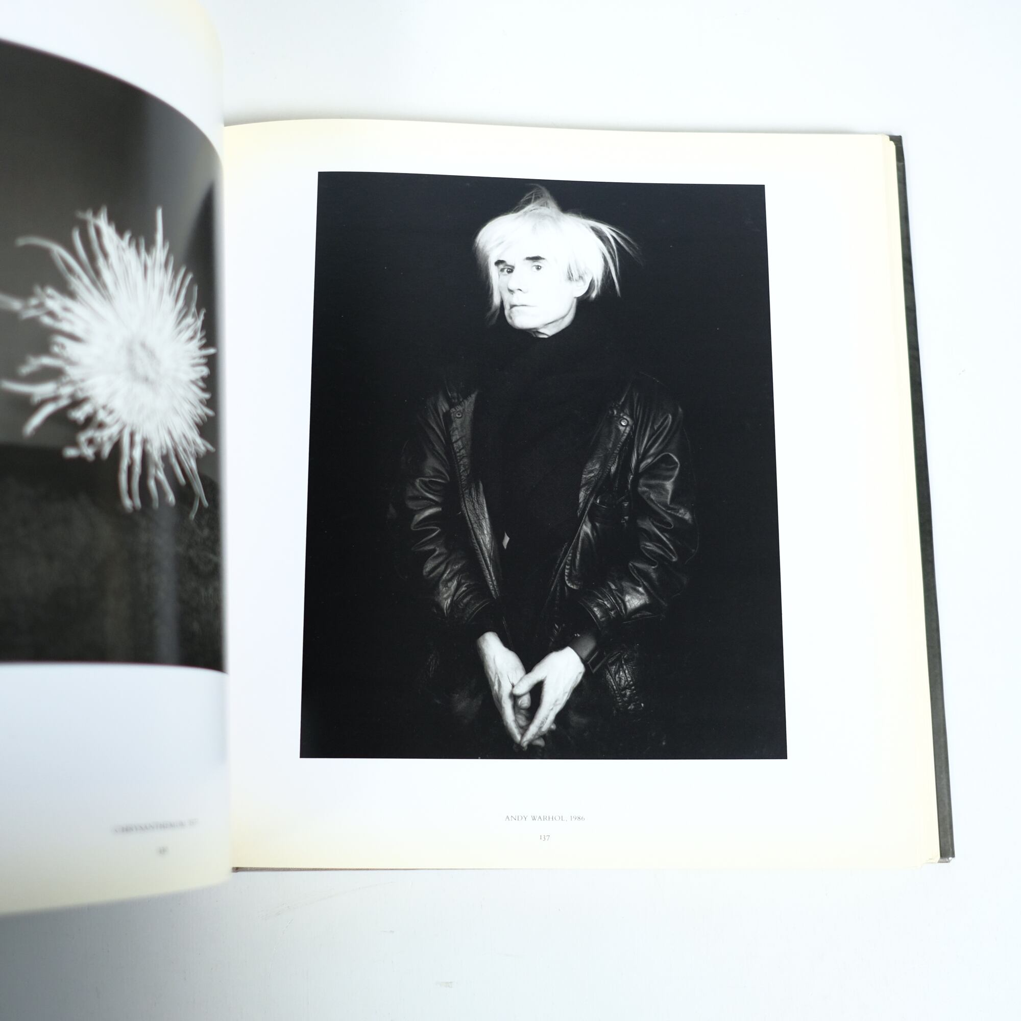 ROBERT MAPPLETHORPE 洋書 写真集 RANDOM HOUSE | Pay ID ROBERT MAPPLETHORPE 洋書 写真集 RANDOM HOUSE | Pay ID