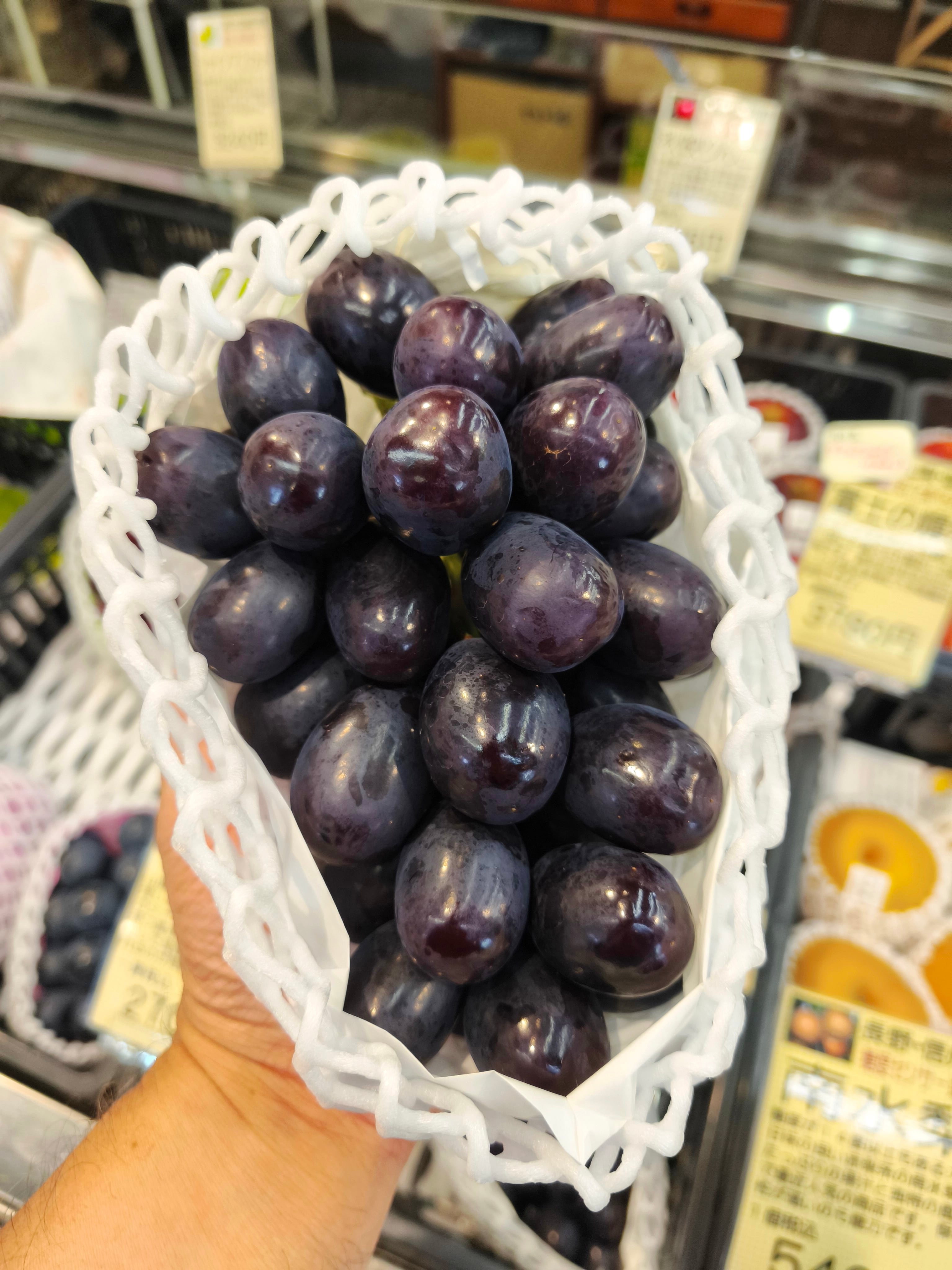 フルーツ王が厳選 岐阜 柳ケ瀬 大熊果実店