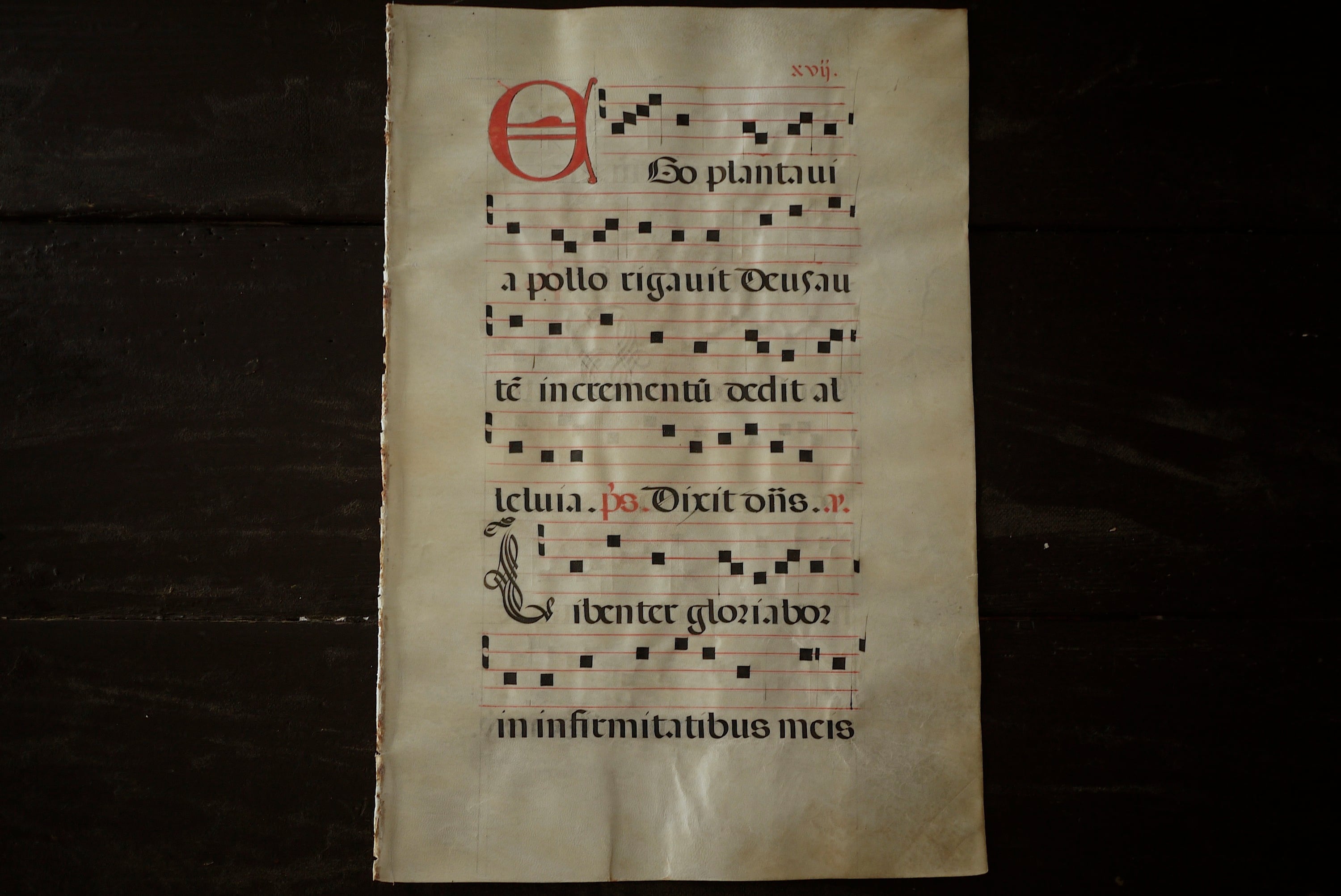 1733年 ベラムに記されたグレゴリオ聖歌 ネウマ譜