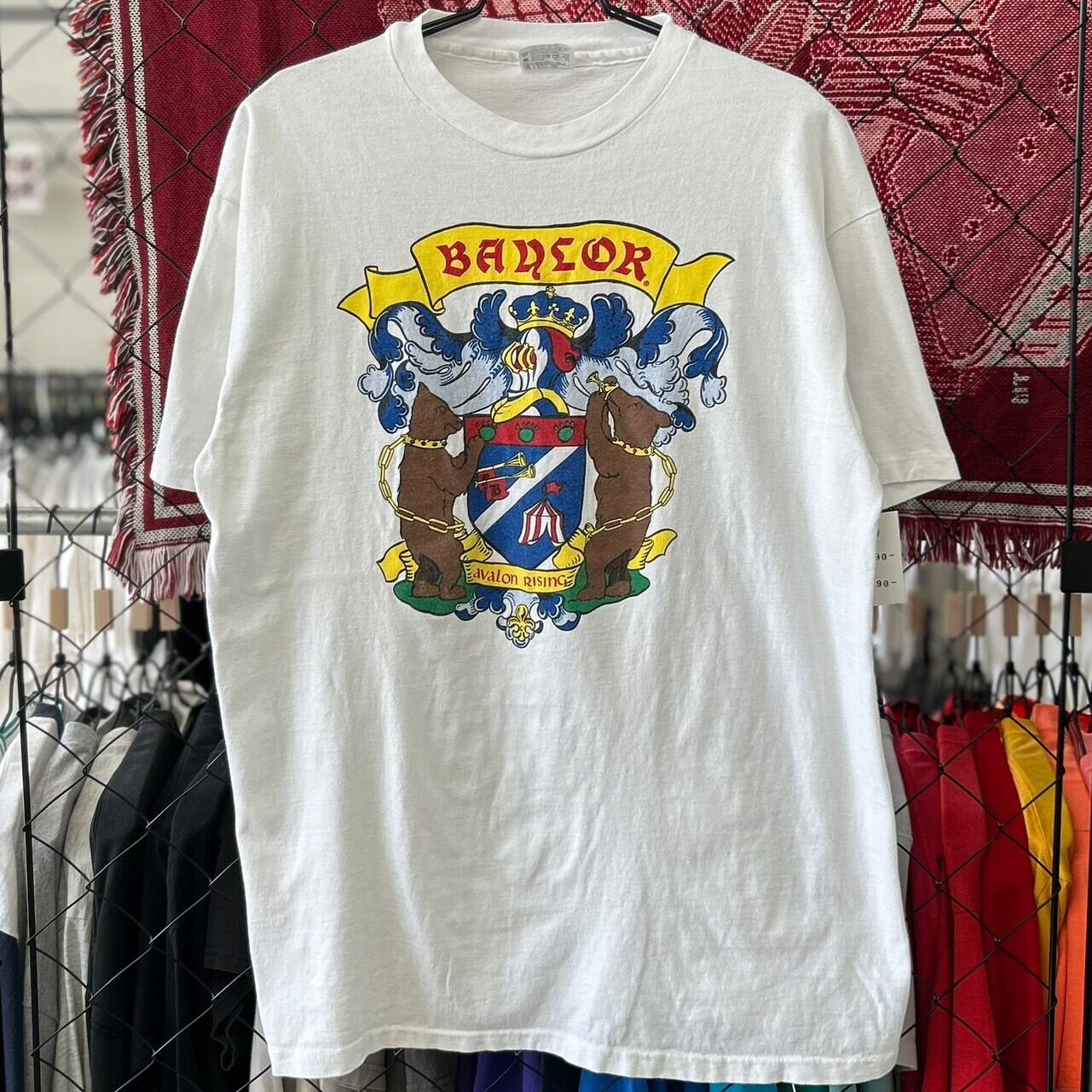 90s college T-shirt USA古着 アメカジ