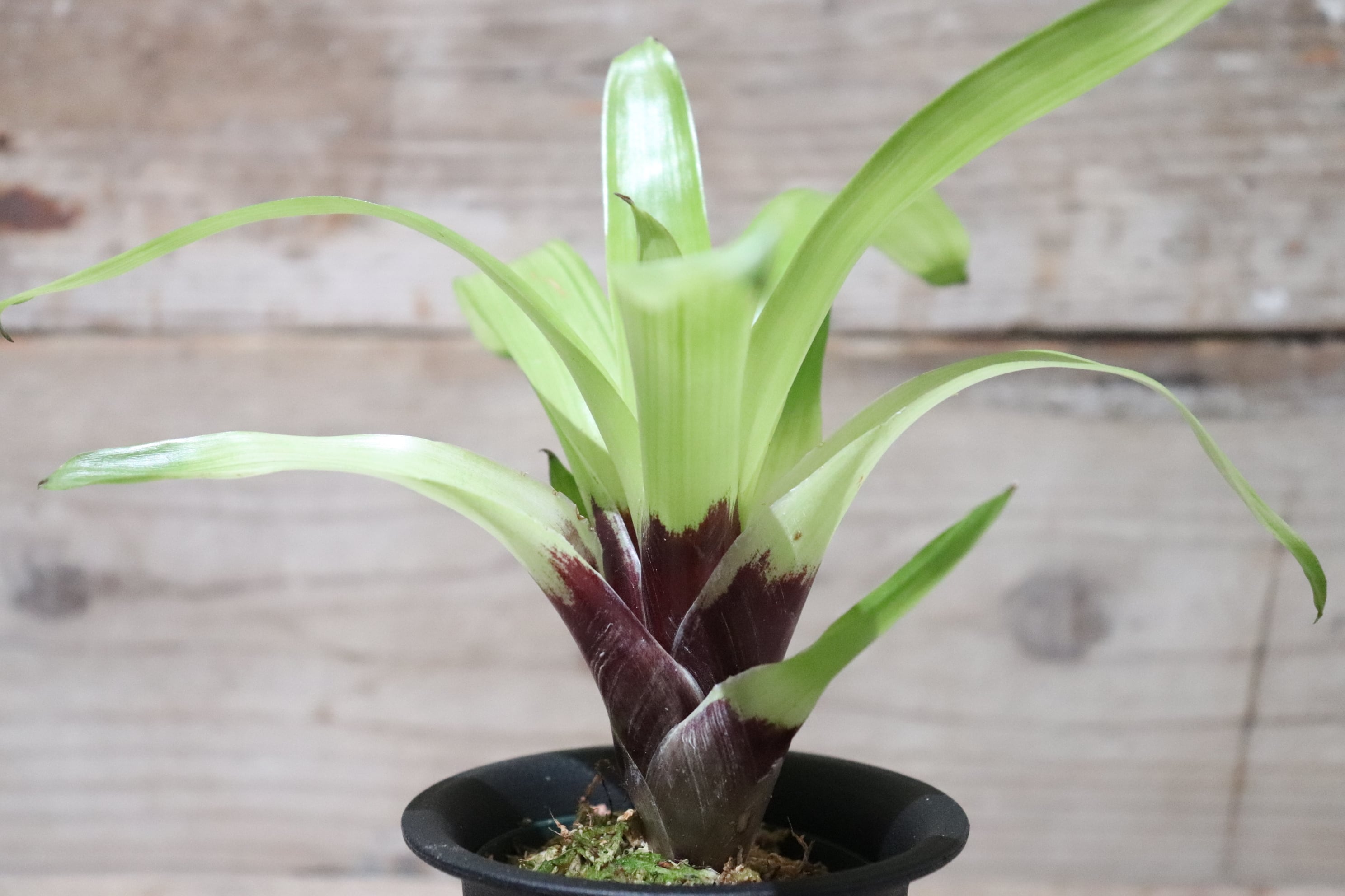 56c6ab4625dad68e8cb438eb7d123b