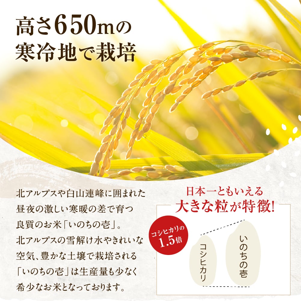 希少米！いのちの壱 2kg 飛騨高山産 精米済 　飛騨牛と共に。【令和5年産】