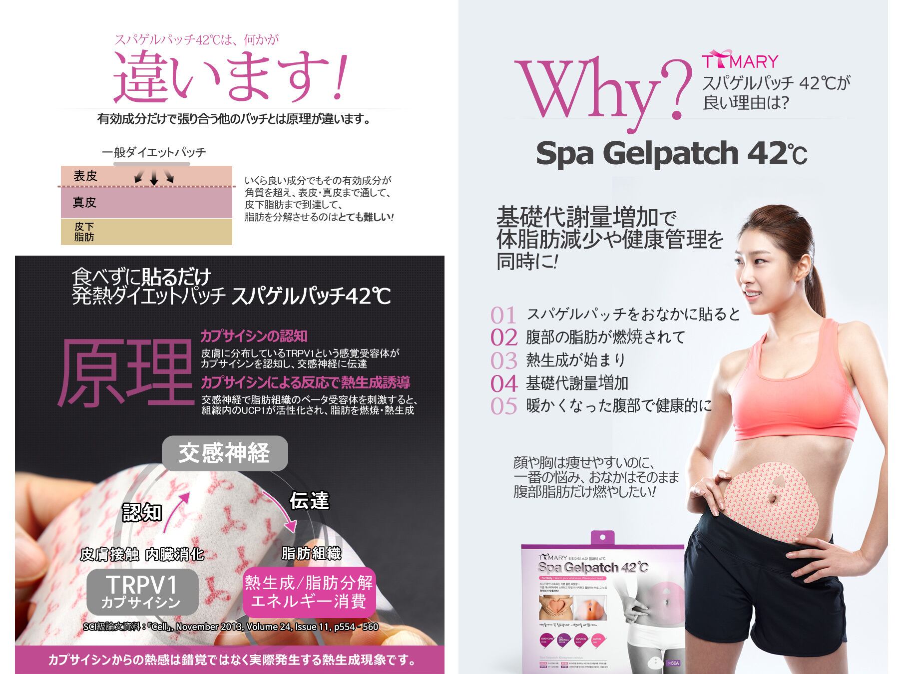 スパゲルパッチ42°C ５セット Amazon.co.jp: スパゲルパッチ42℃ (コルセットタイプ) 5セット