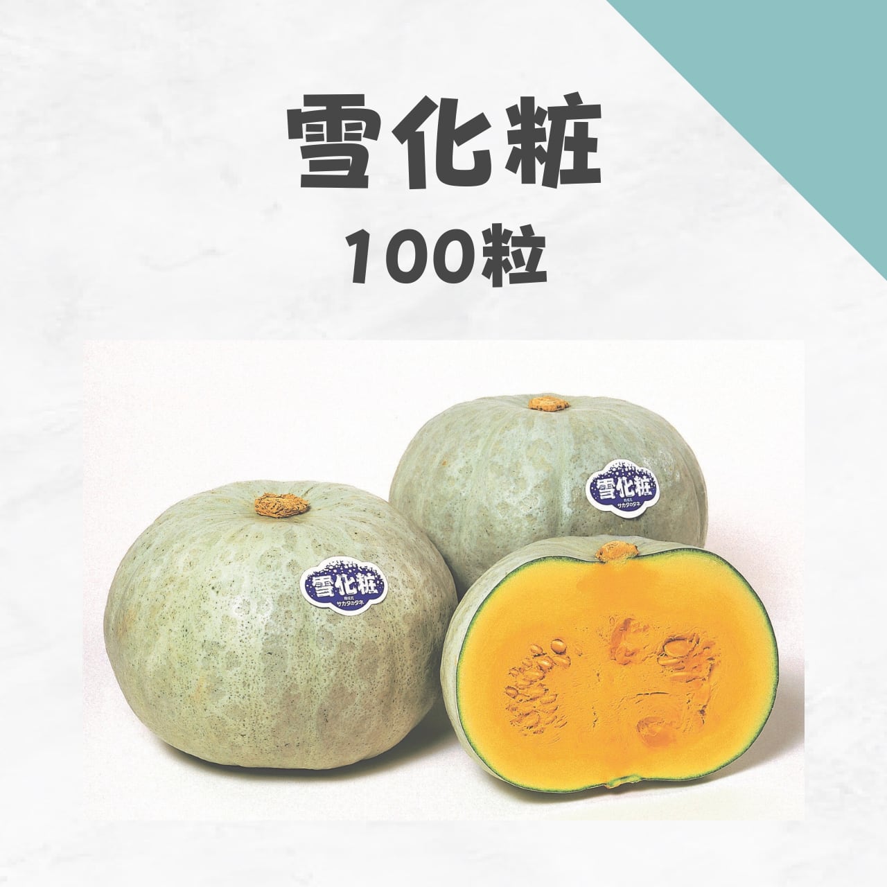 雪化粧 カボチャ種子・100粒