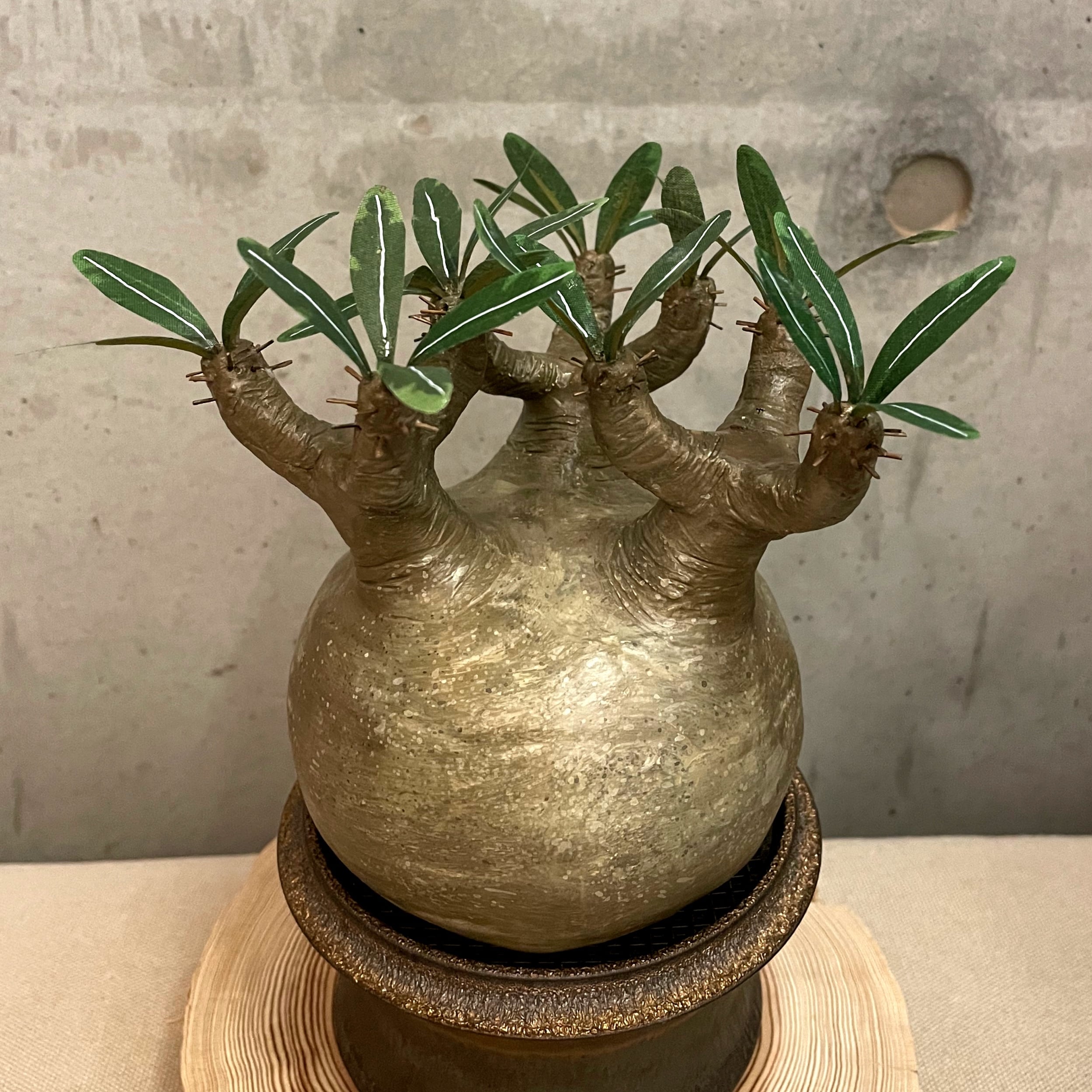 ALL ITEM | Kakapo plants.