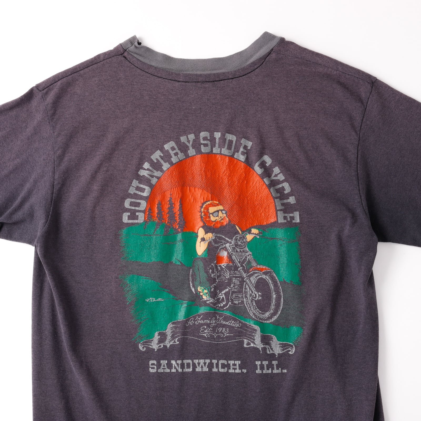希少】80s Harley-Davidson Special vintage T-shirts 