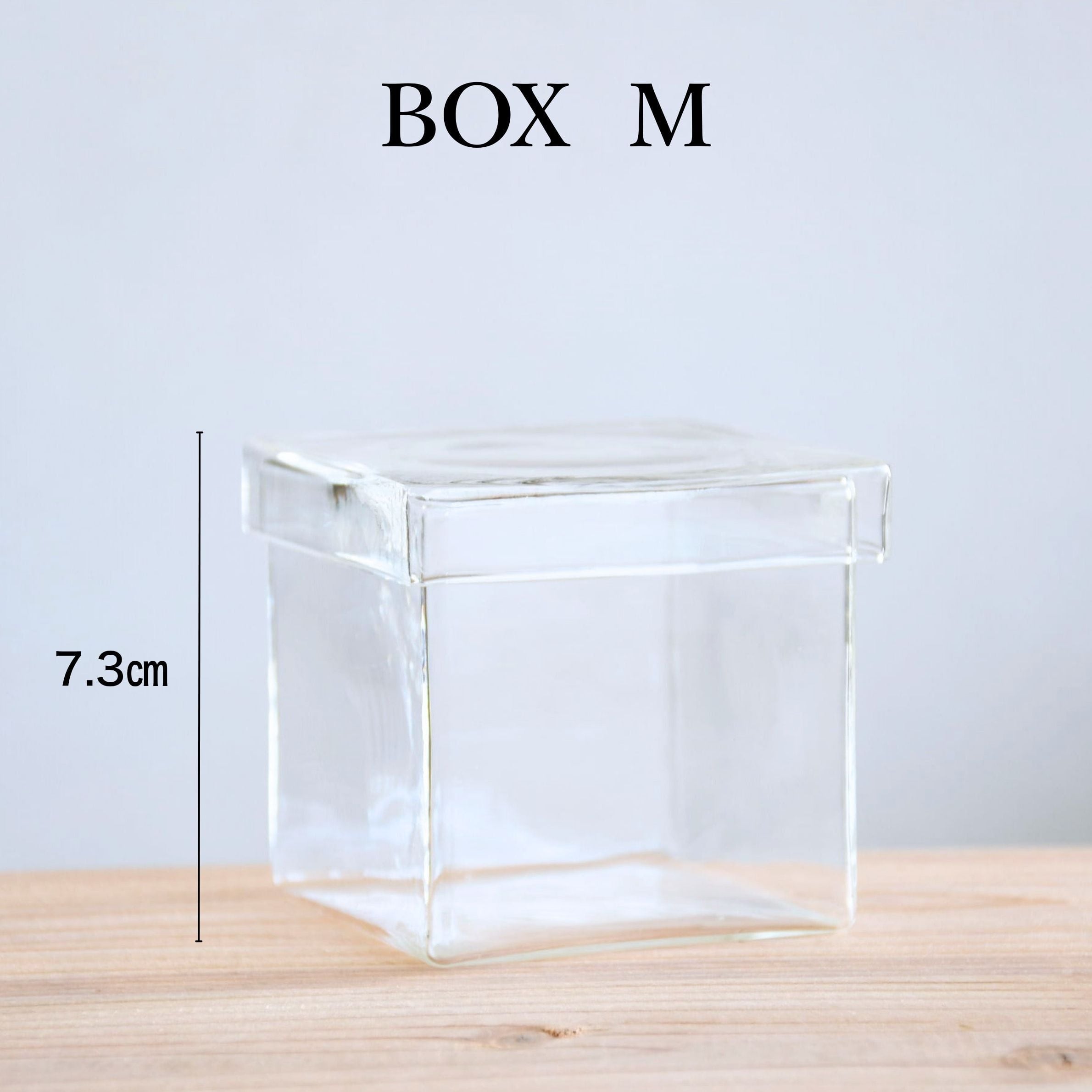 ガラス容器】BOX・M（8㎝ × 8㎝ × 高さ7.3㎝）◇初めての苔テラリウム