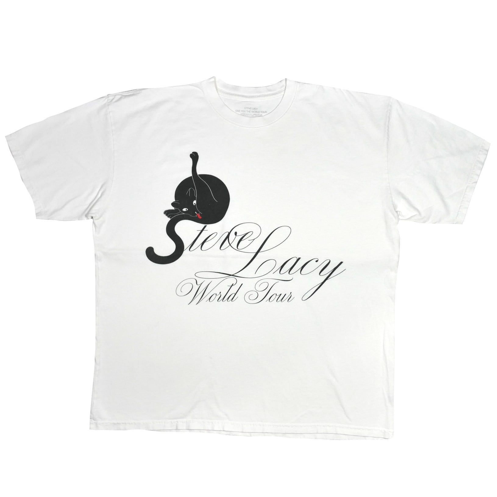 USED【2XL】Steve Lacy Give You The World Tour 2022 Tee