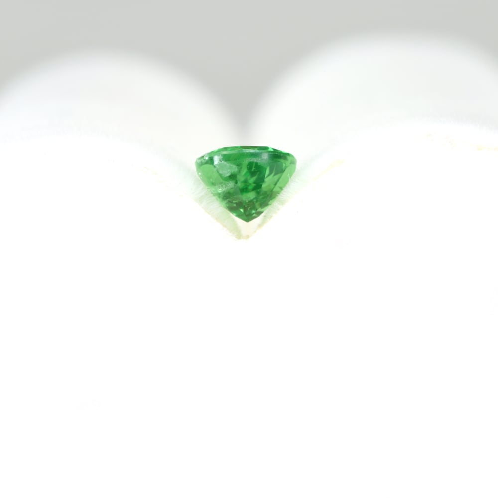 ツァボライト タンザニア産 0.594ct #JWS2824 | EBiS GEM