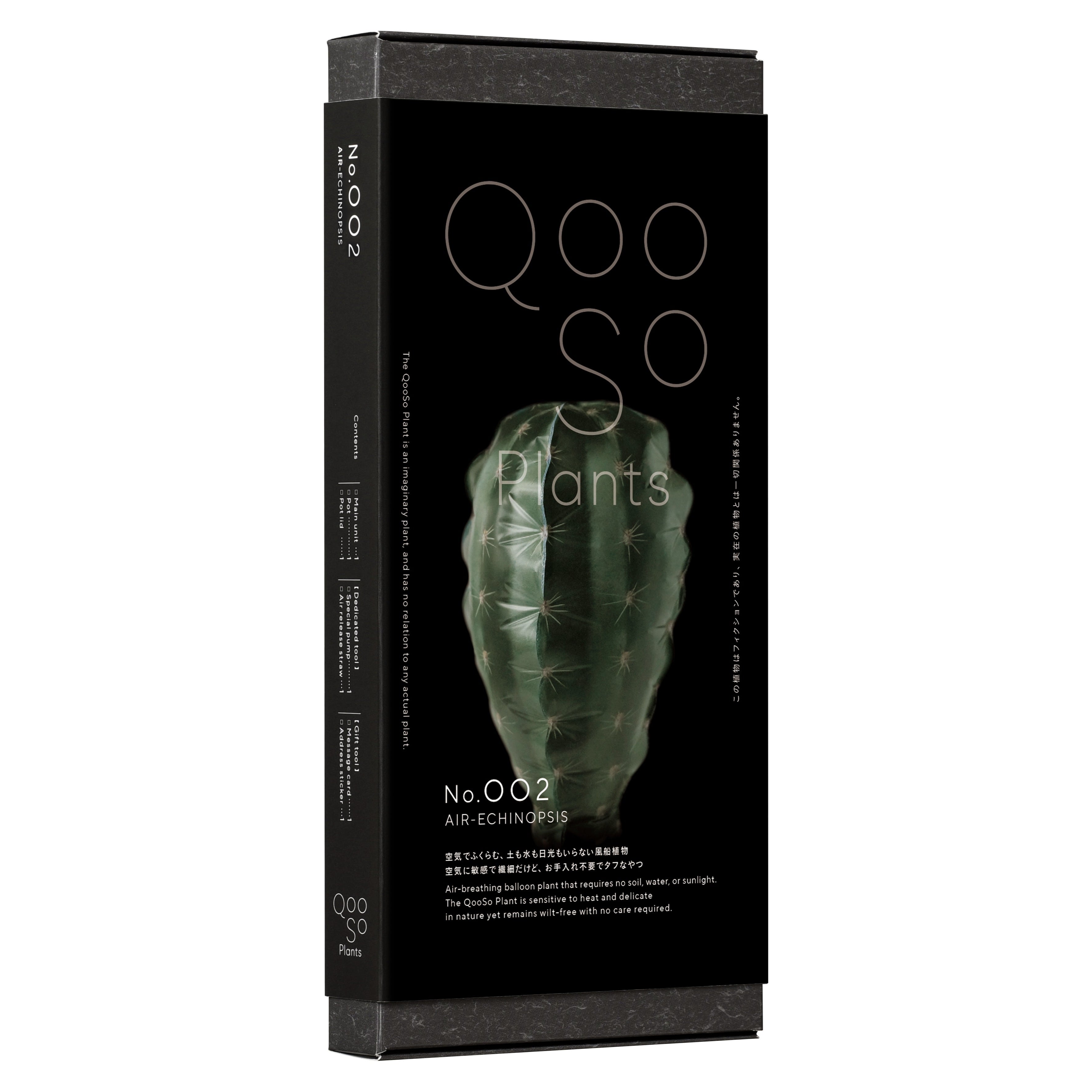QooSo Plants No.002 AIR-ECHINOPSIS（クウキウニサボテン） | エス