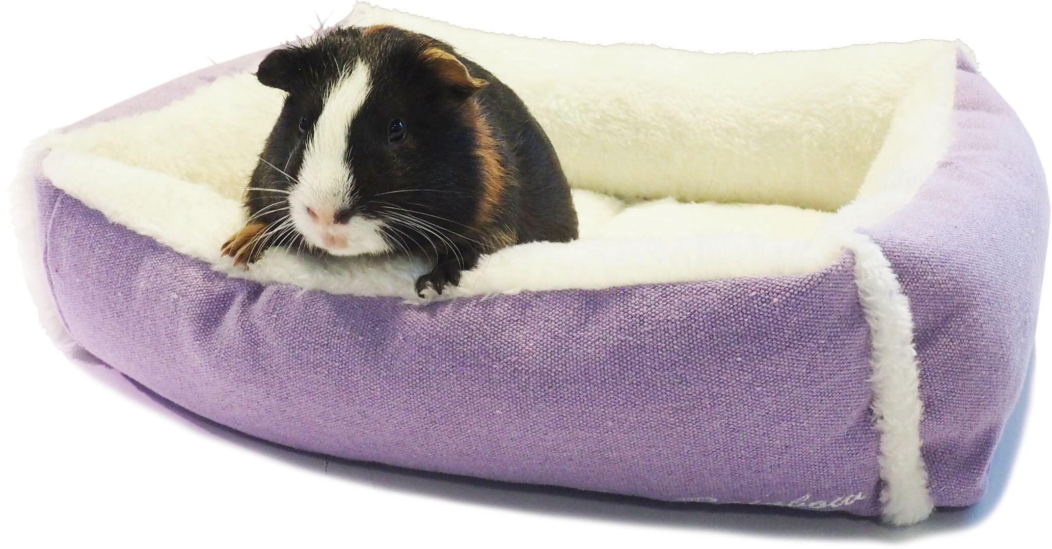 【小動物】 うさちゃんのワイドベッド グリーン/パープル