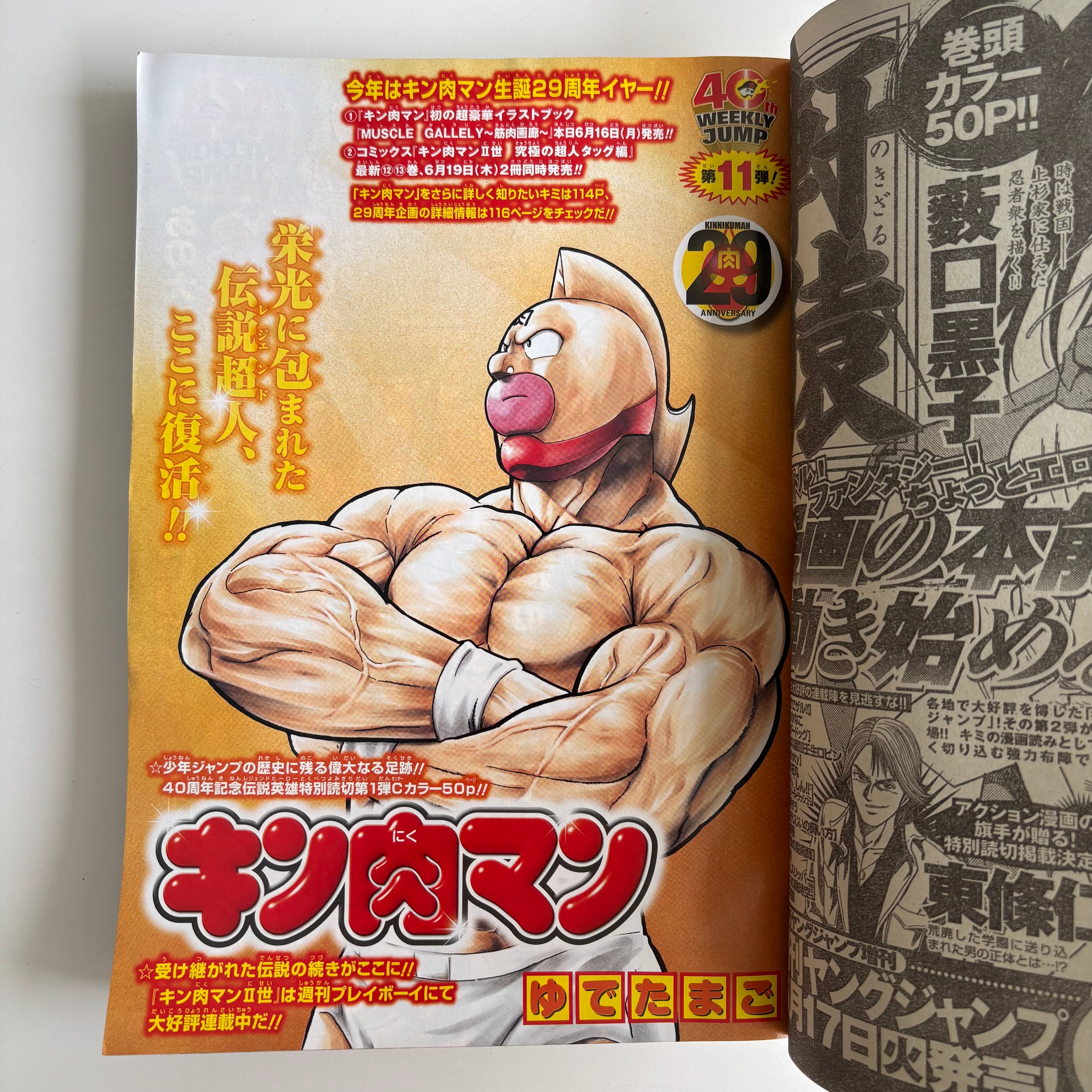 週刊少年ジャンプ 2008年 29号 集英社 ONEPIECE 巻頭カラー キン肉マン