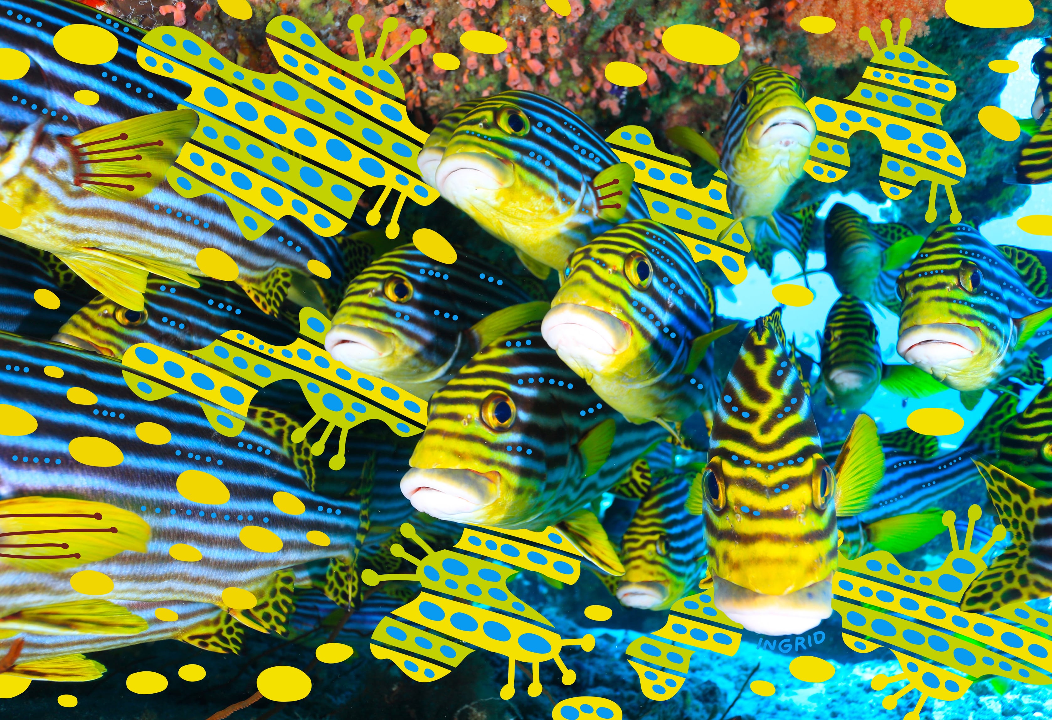 鍵井靖章　パイインターナショナル　絶版　三部 鍵井靖章 パイインターナショナル 絶版 三部 鍵井靖章パイ