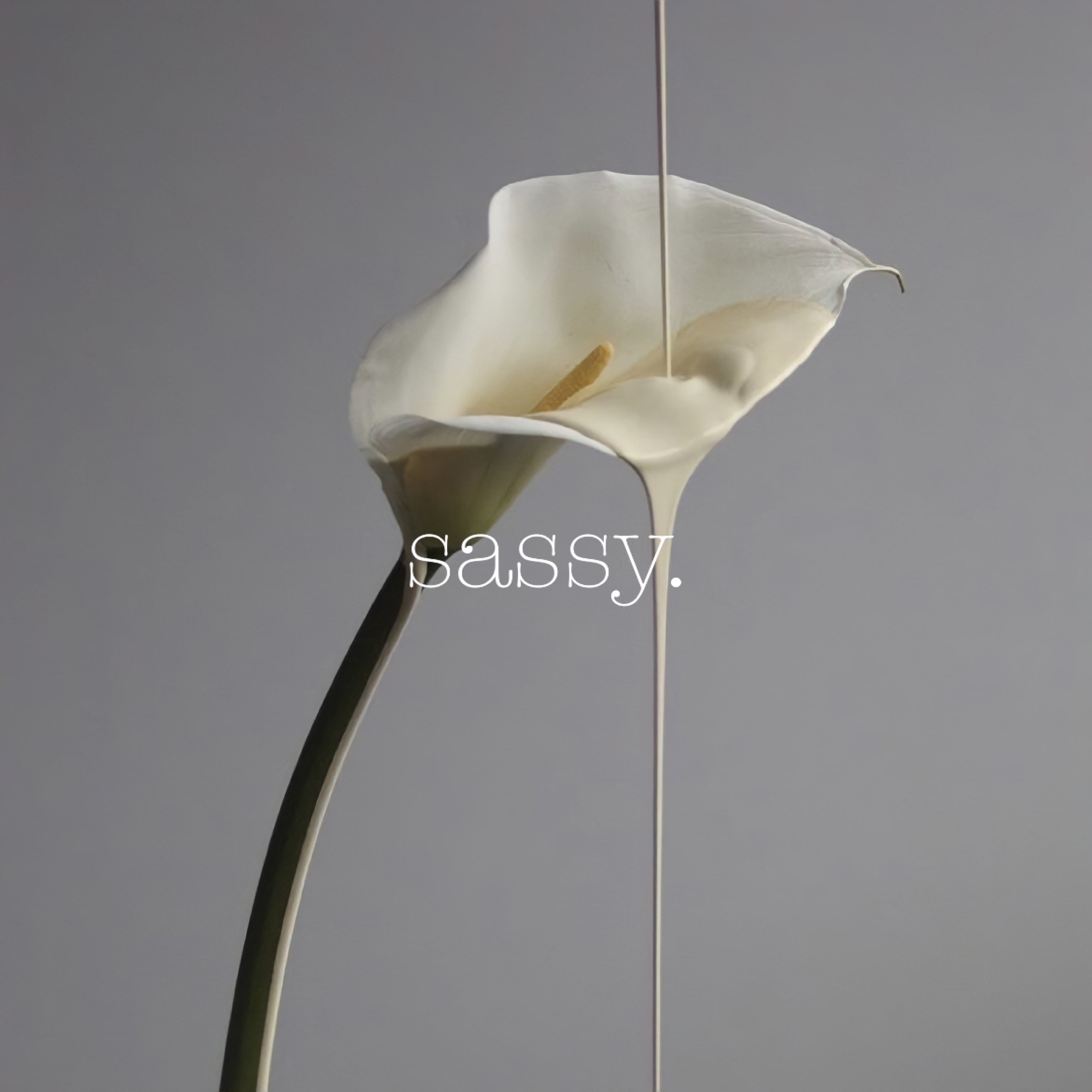 ささき様専用ページ】 | sassy