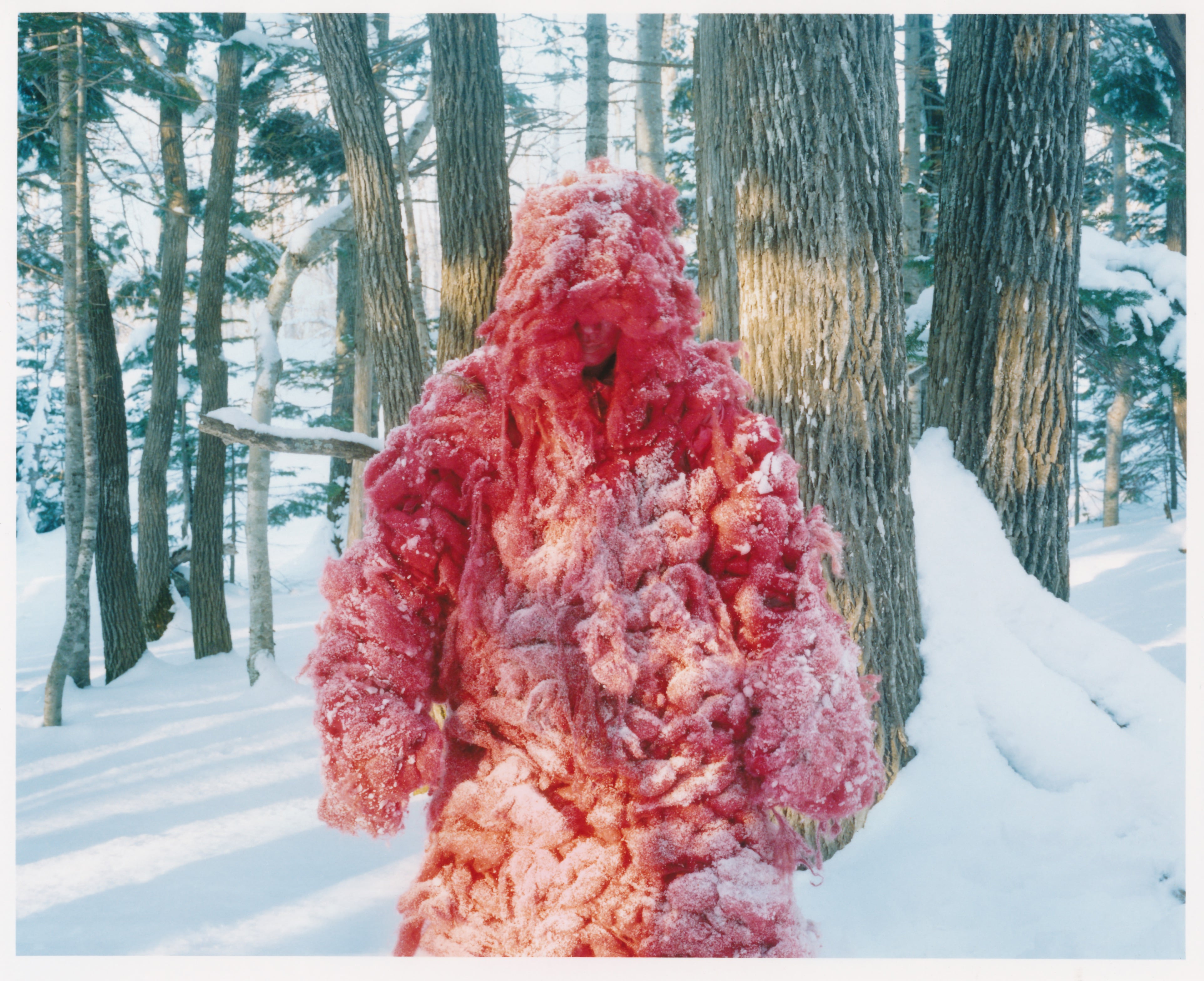 映画『Shari』Blu-ray 特装版 | WHITE LEOTARDS