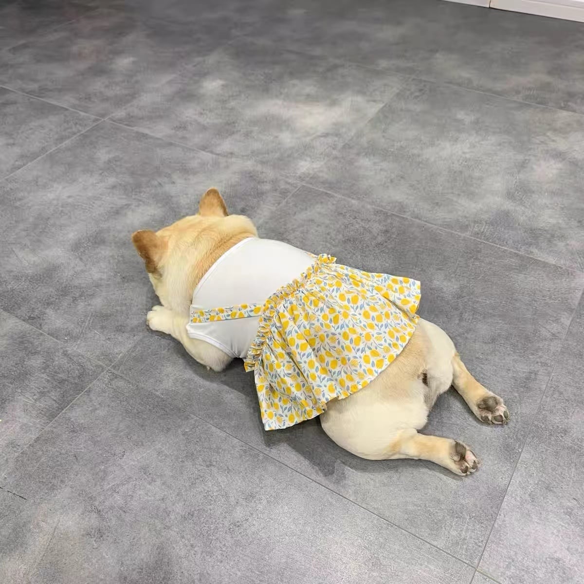 犬服 フレンチブルドッグ フレブル ワンピース 春夏 花柄 中小型犬