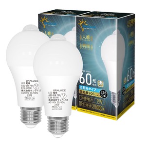 【在庫処分】ORALUCE LED電球 E26口金 人感センサー 電球 60W形相当 昼光色 6500K 9W 900lm 自動点灯・消灯 明暗センサー付 消し忘れ防止 階段 玄関 廊下 トイレ 調光不可 2個入 LDA9D-G-E26