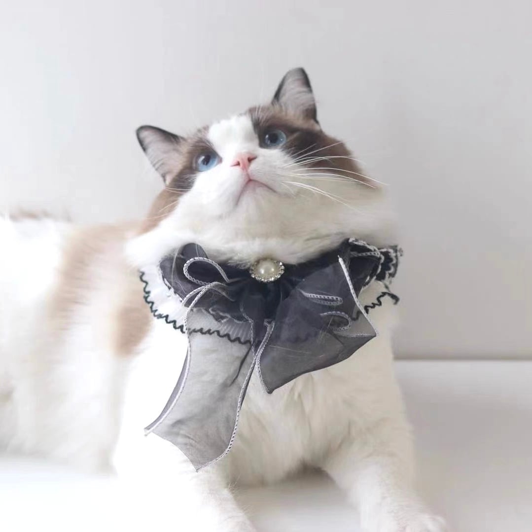 ブラックフリル 猫 リボン エプロン
