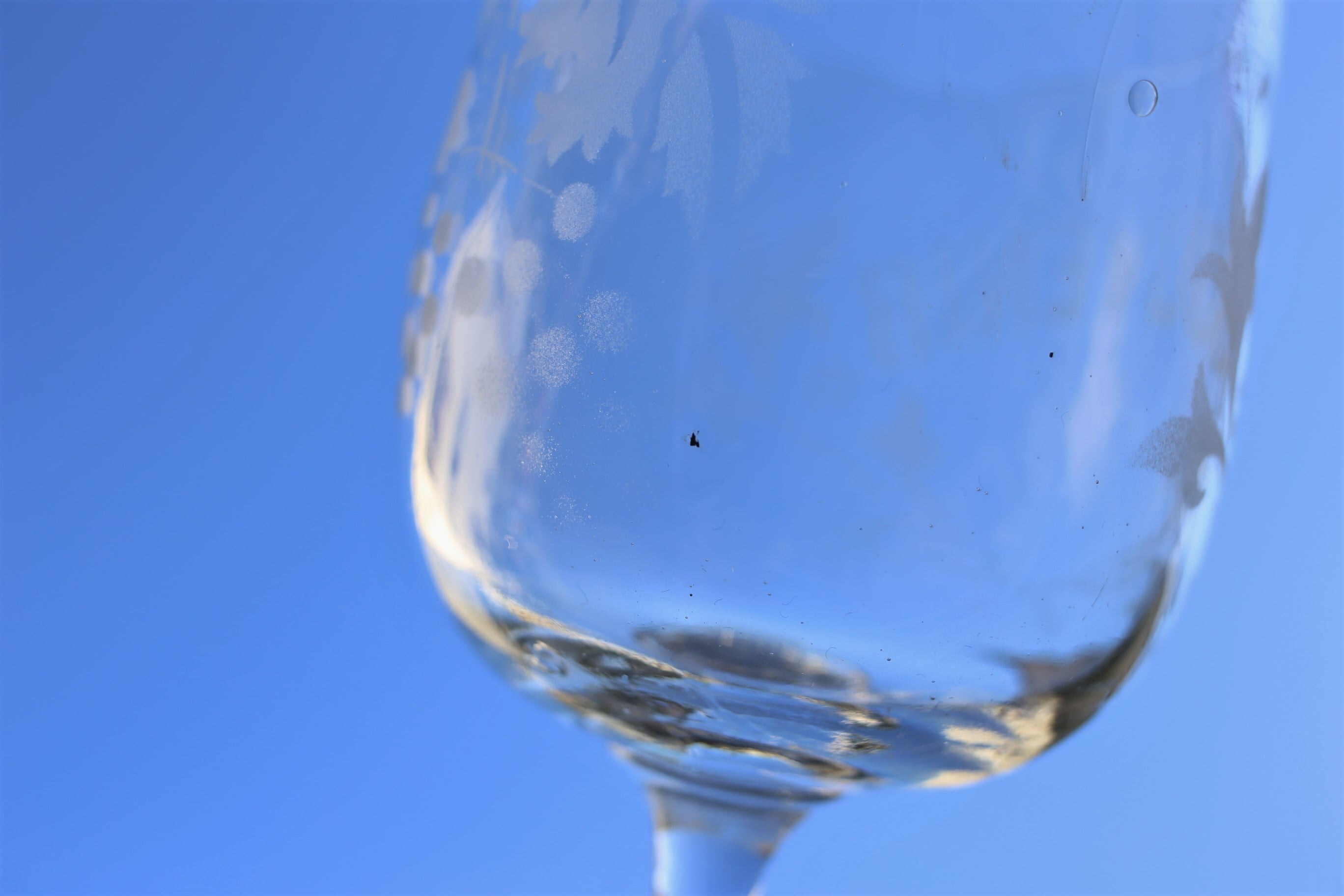 フランス アンティーク ヴィンテージ 特大ワイングラス『SOUVENIR』高