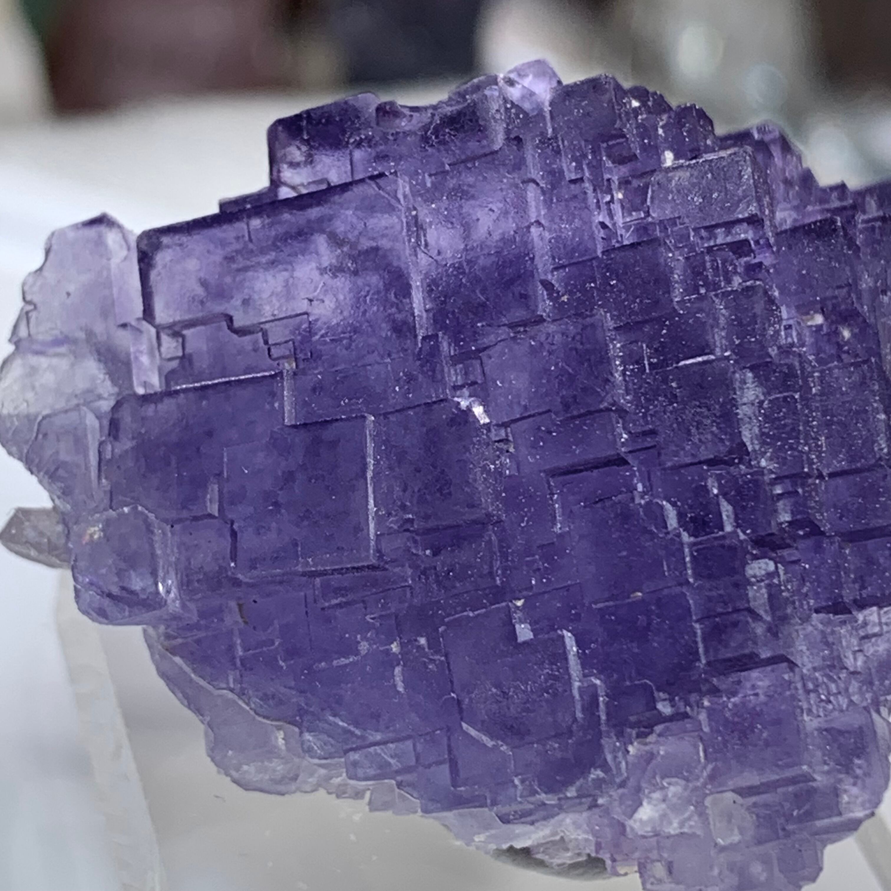 3.結晶美☆透明度あり☆パープルフローライト原石クラスター