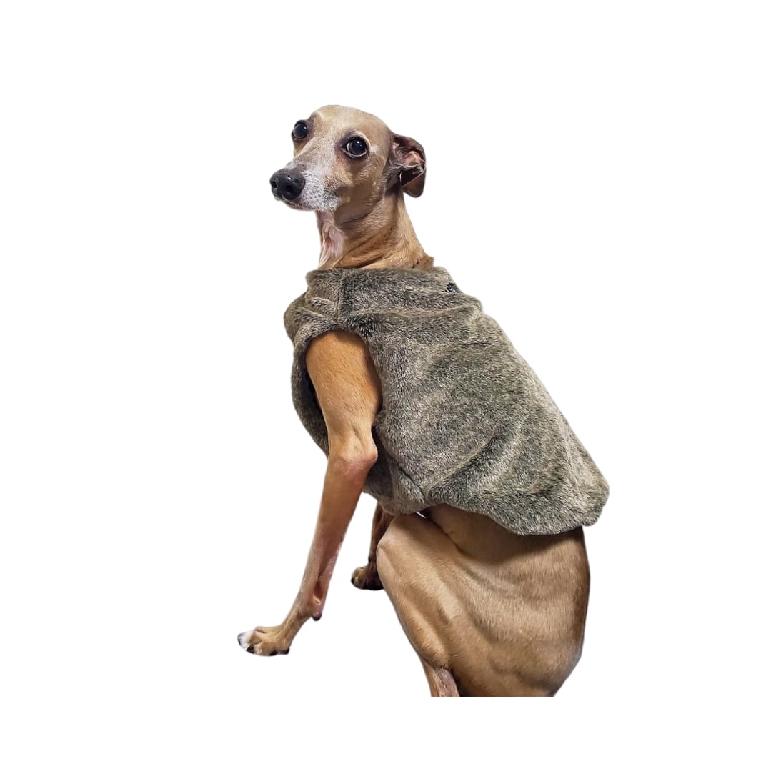 ファーベスト(ブラウンのみ) イタグレ服 | gino洋品店