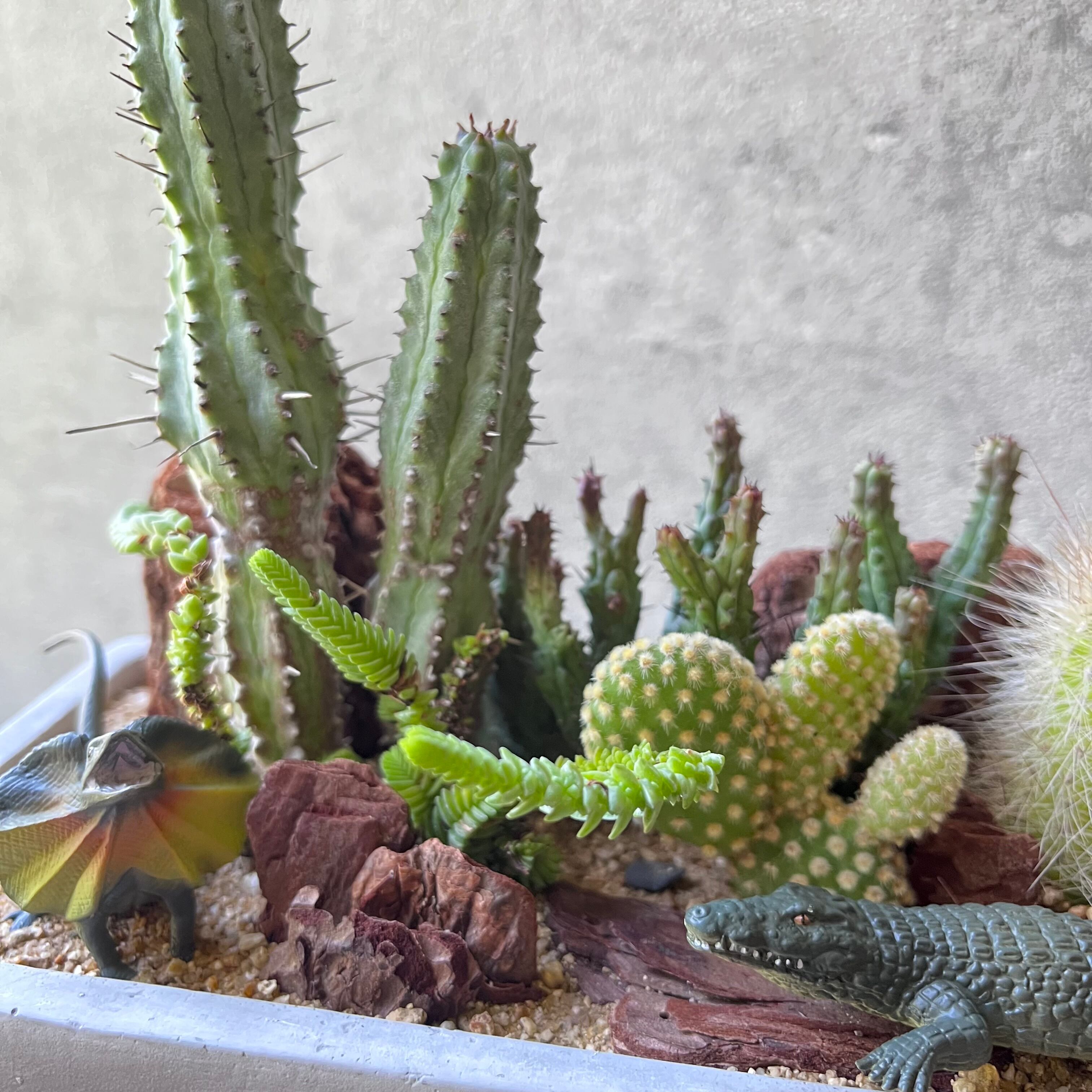 order made 齋藤さま専用 | SABOTEN MISSILE