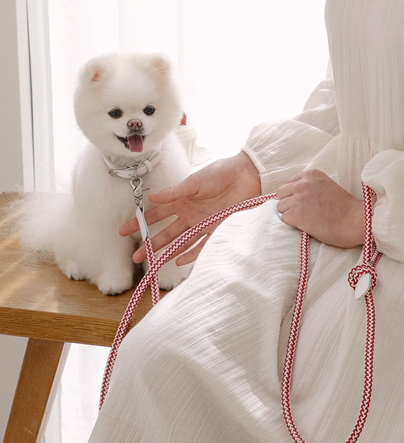 即納【stroll】Rope Collar (Red Velvet)