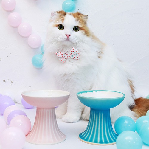 モフー×平安楽堂のオリジナル猫用食器皿「スウィーティー」