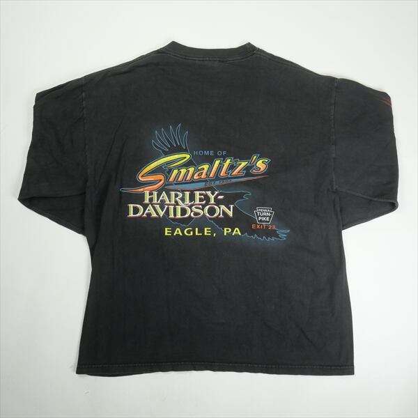 イーグル フレイム 90's HARLEY-DAVIDSON L/S TEE