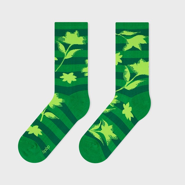 【SOCKS 2 PAIR GIFT SET】HANA MITSUI ソックス2足ギフトセット