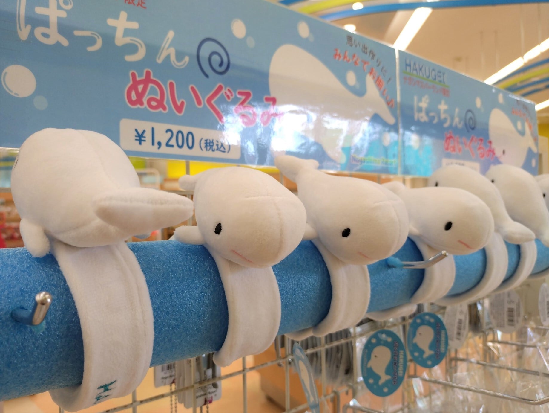 白鯨パッチンぬいぐるみ | Nagashima Resort（ナガシマリゾート