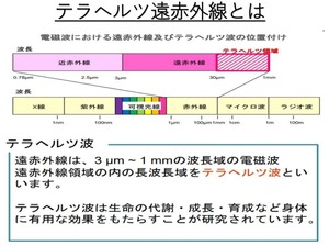 テラヘルツ遠赤外線を発生するシーツ　　【Lサイズ】テラペットシーツ