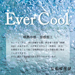 マスクの中に保冷剤が入る『デブの冷んやりマスク』【保冷剤6枚付き】！  ( リオンベージュ) ※キシリトール配合・ウォッシャブル不織布＆ダブルガーゼでオーガニックコットン※風通り抜ける裏メッシュマスク【全国送料無料】