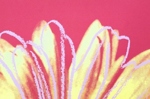 アンディ ウォーホル「デイジー(フクシャ&イエロー)Daisy,c 1982」展示用フック付ポスター ポップアート 絵画