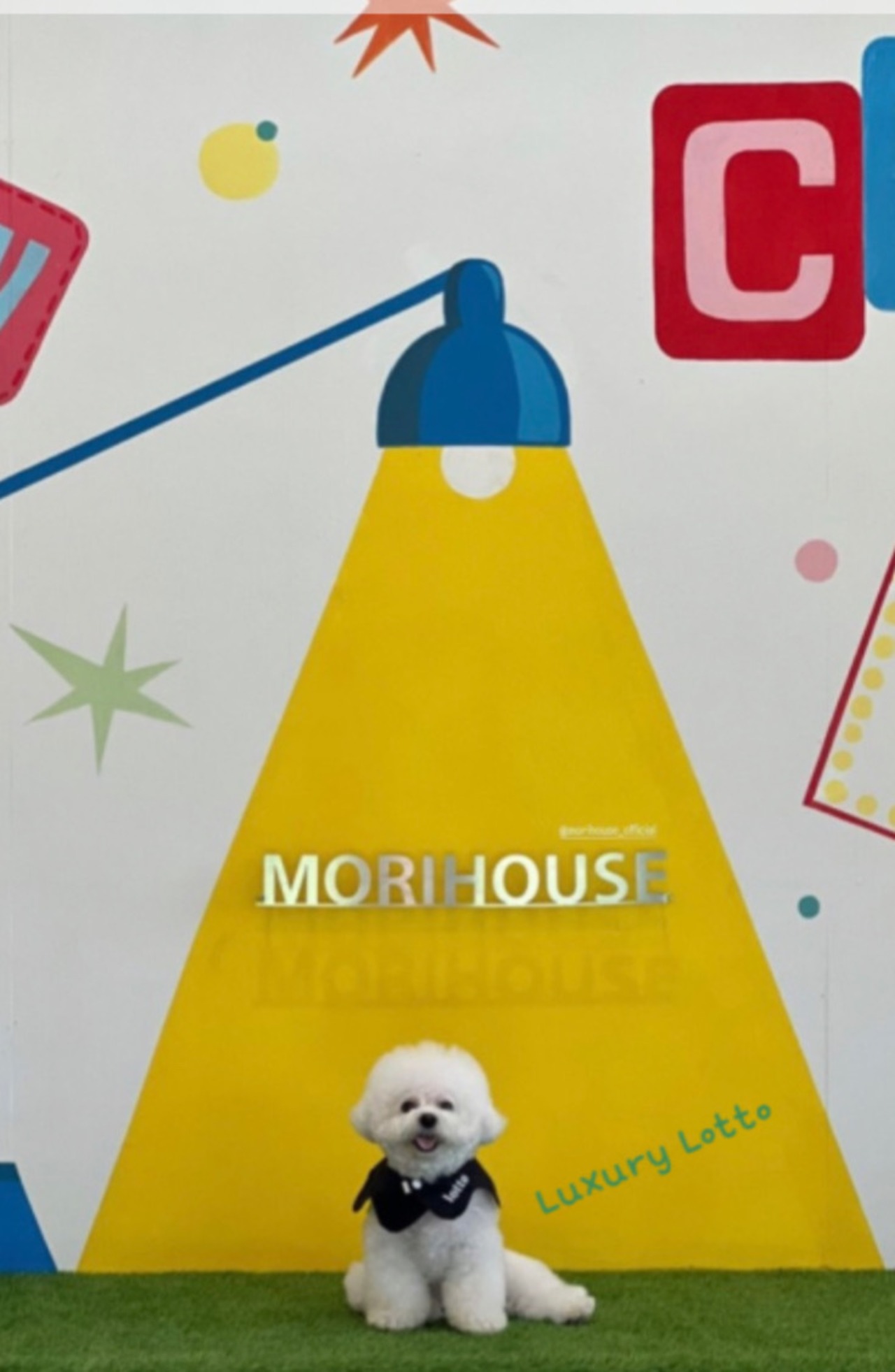 予約　【curum】Black Wave cape