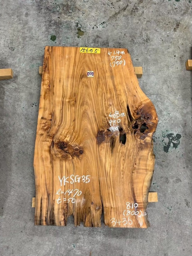 屋久杉_1470×980-750×50_原板 N2646