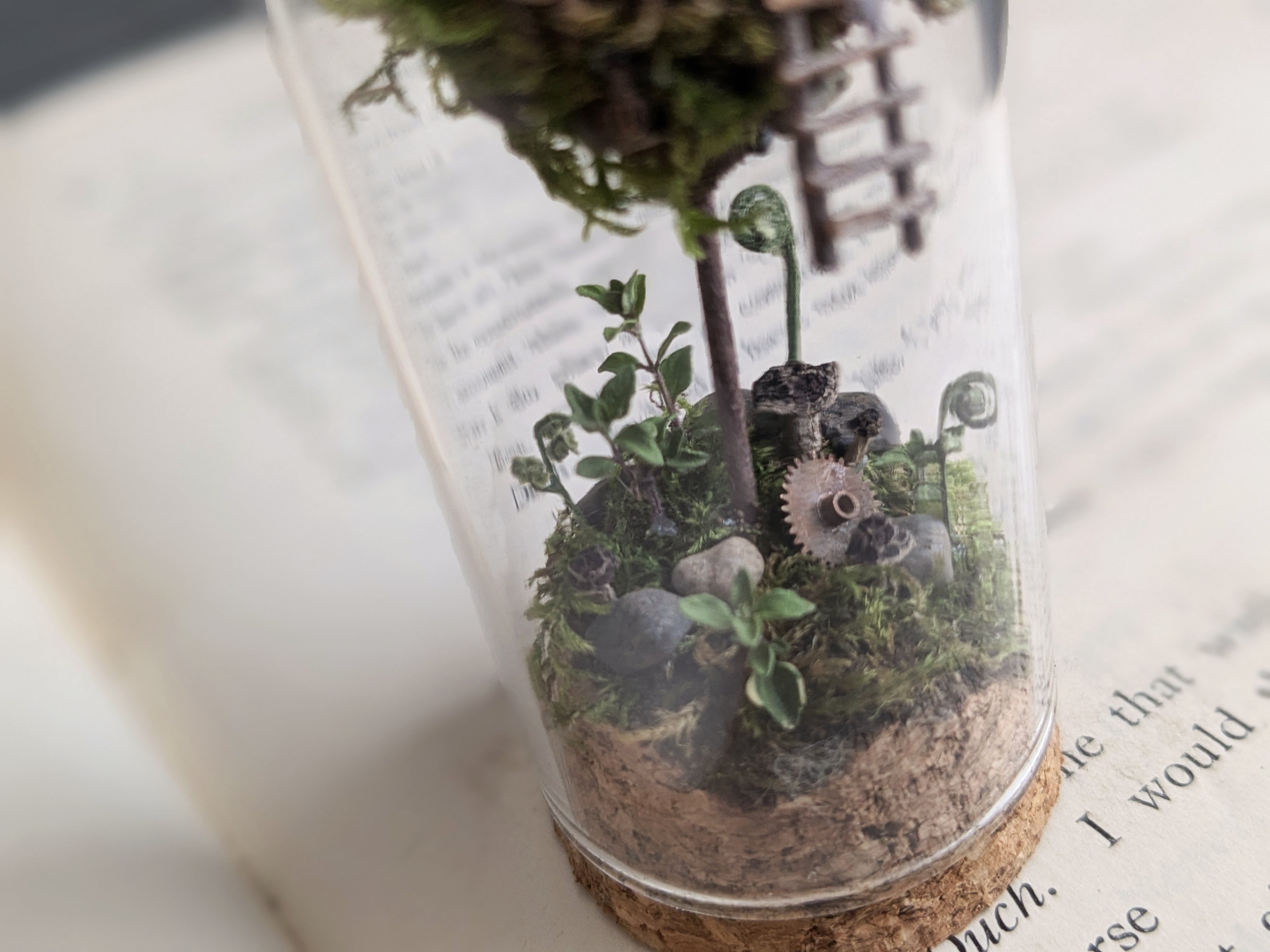 未使用 ロゼモン 時計 ジュネーブ 北川景子