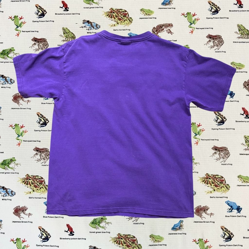 00's ティンカーベル Tシャツ ディズニー ピーターパン アメカジ 古着