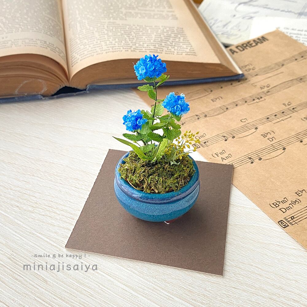 ミニチュア紫陽花 ロイヤルブルー 3輪タイプ 〜 鉢植え仕様〜 アジサイ