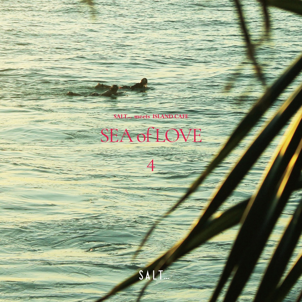 SALT... meets ISLAND CAFE -Sea of Love 4-