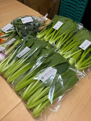 信州のお野菜 小松菜｜農薬・化学肥料不使用の詰め合わせ