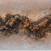 セピアの夢 / The Sepia Dream