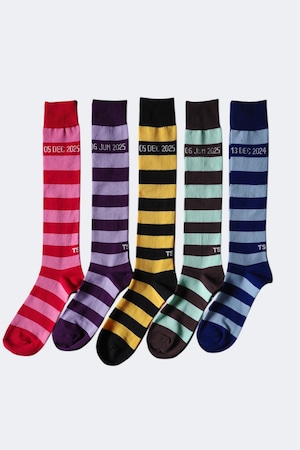 TSTS【STRIPED SOCKS 】
