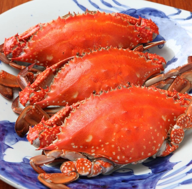 【今が旬❗️ワタリガニ】メス内子MAX個体，茹で発送で承ります。