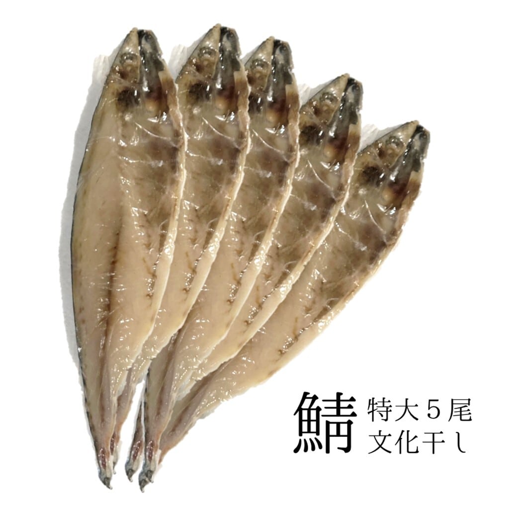 サバ 文化干し 大サイズ 干物 ノルウェー産 5尾入 約1キロ分(1尾約200g)【特大鯖文化干し5尾】冷凍 豊洲直送 お徳用