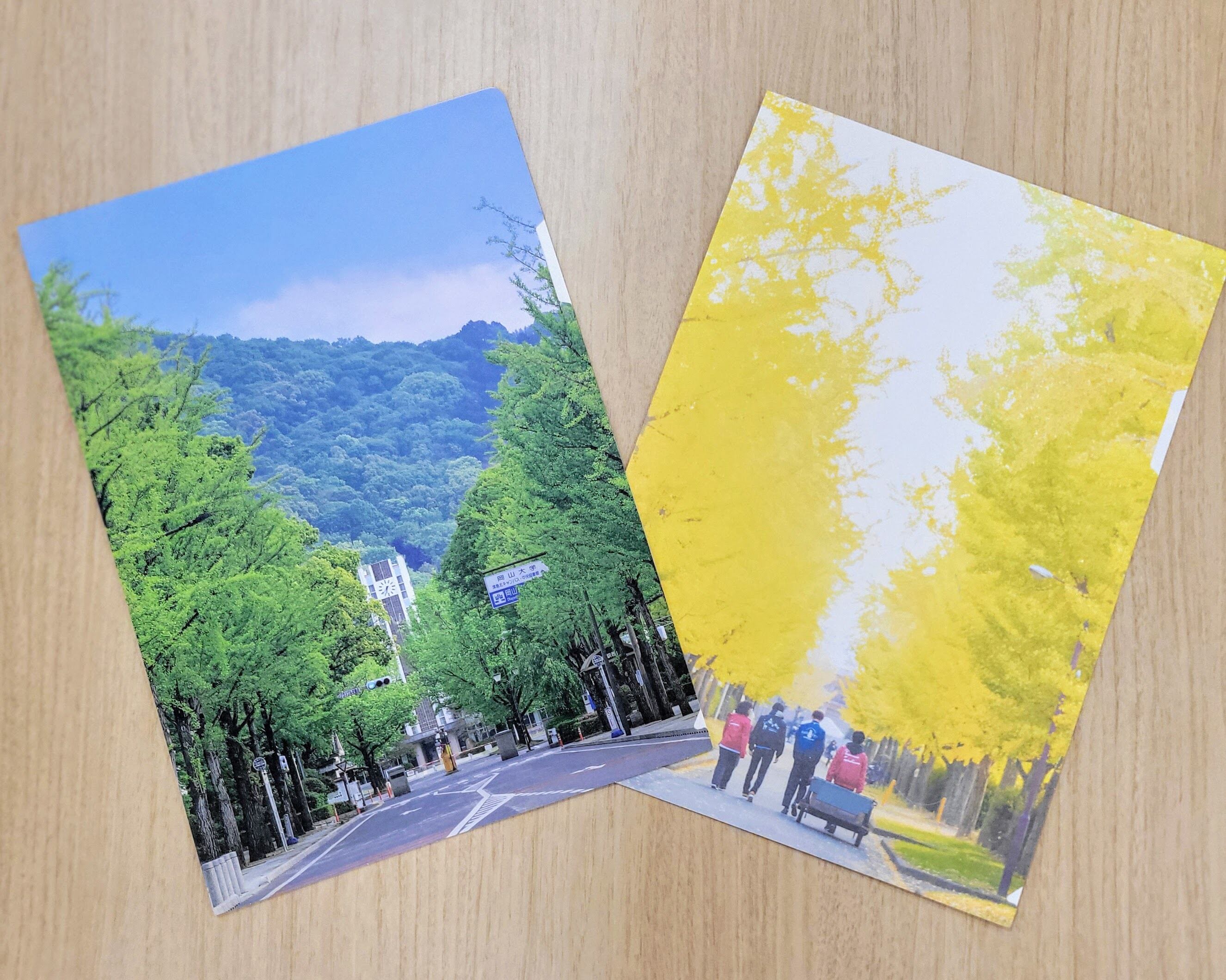純銀　銀杯　岡山大学 ステーショナリー | 岡山大学オリジナルグッズ Online Shop
