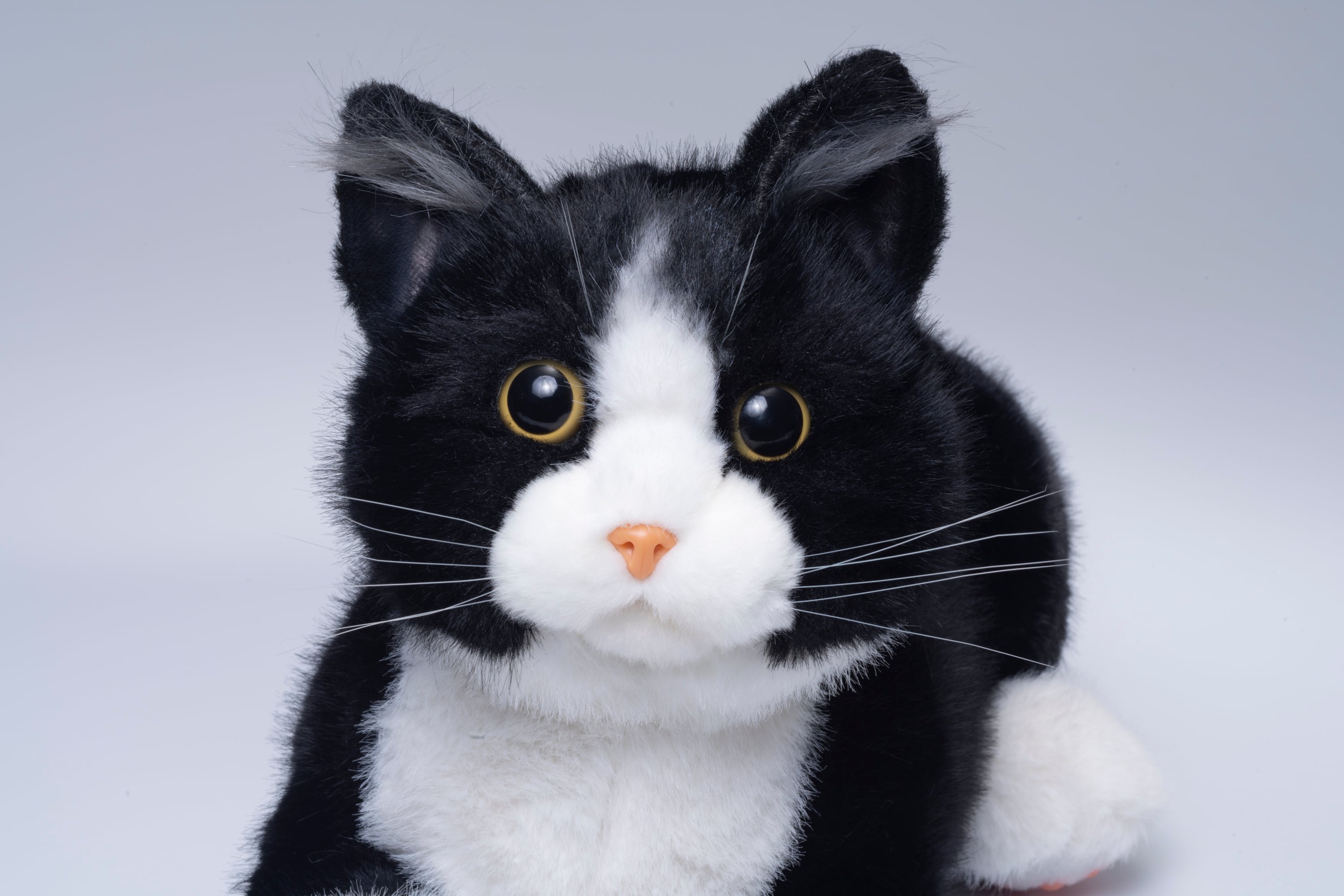 感謝価格(ㅅ´꒳` )すずらんとハチワレ猫ちゃん なでなでねこちゃんEX ハチワレ | トレンドマスター