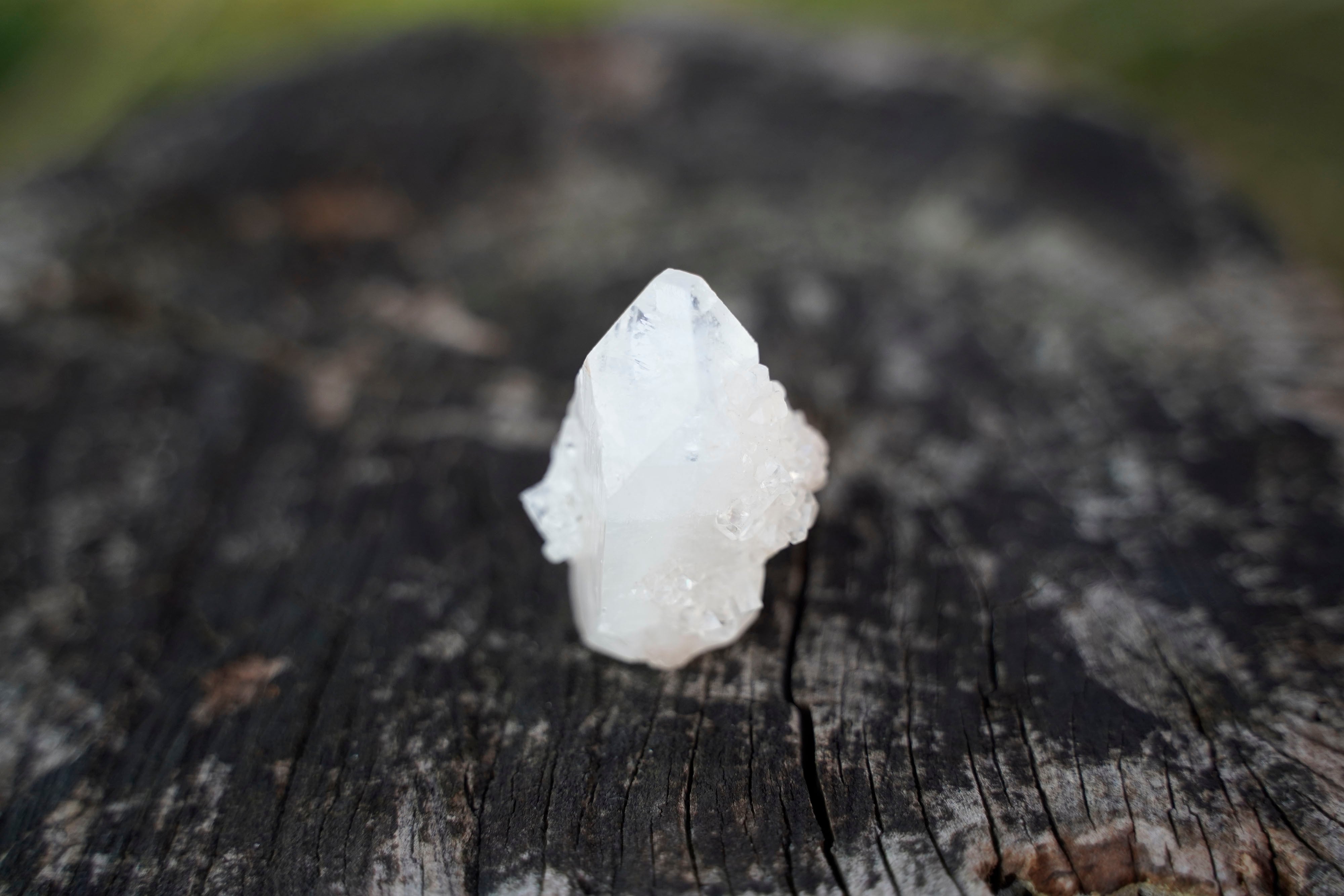 石｜石屋のcoji | coji